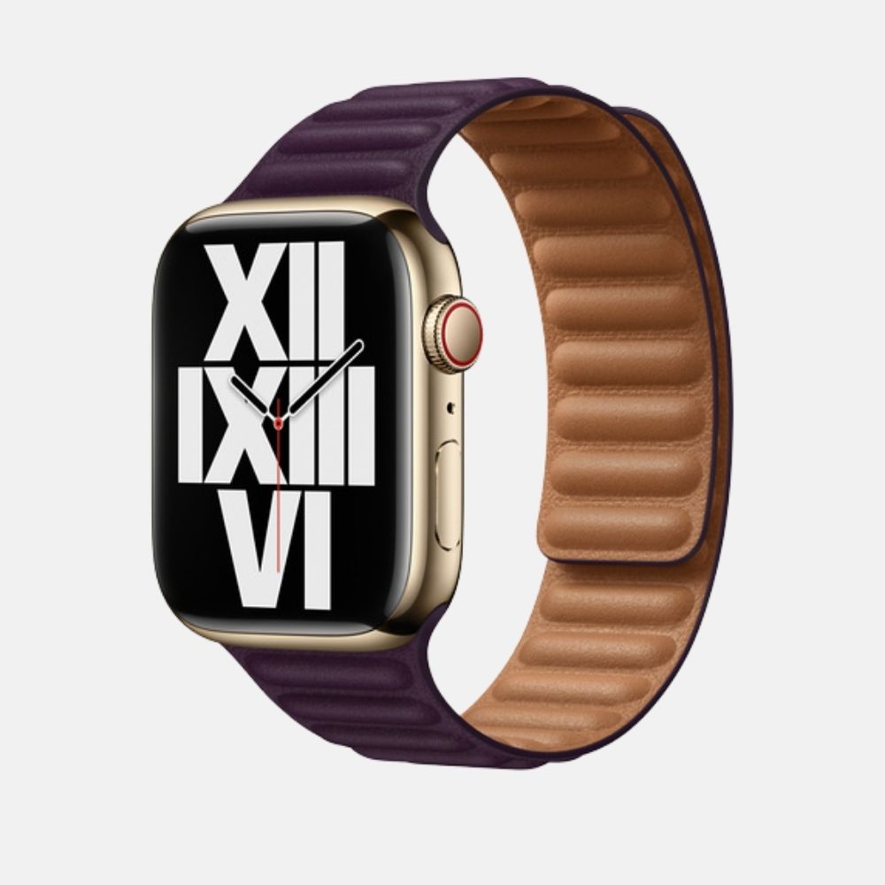 Apple Watch Leather Link Band
