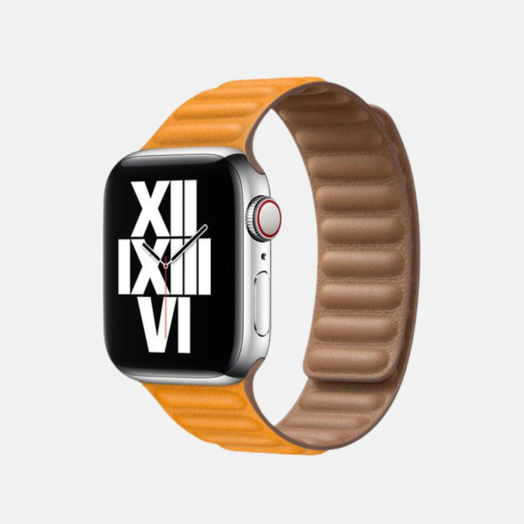 Apple Watch Leather Link Band